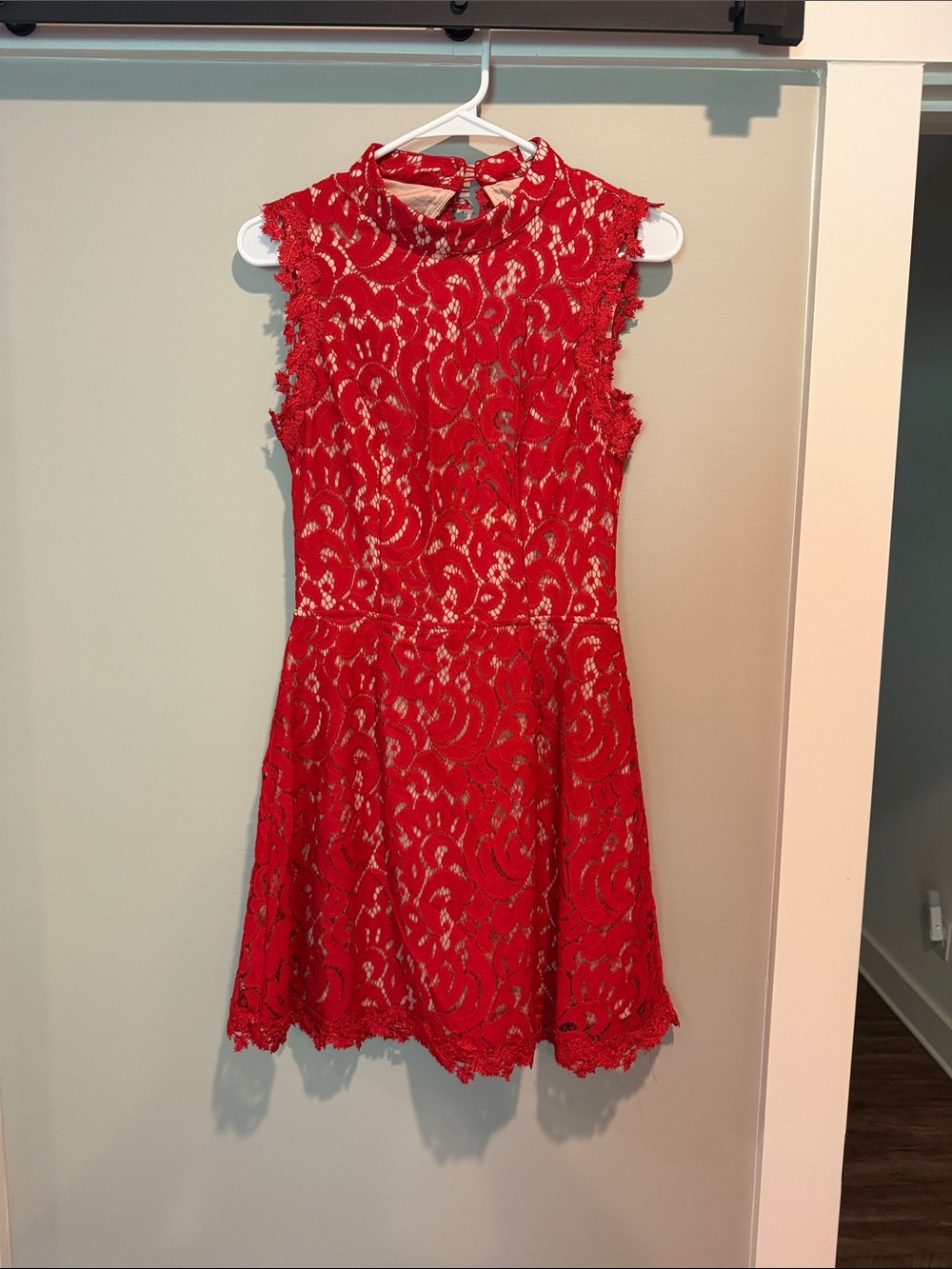 Francesca's Collections Red Lace Sleeveless Skater Dress